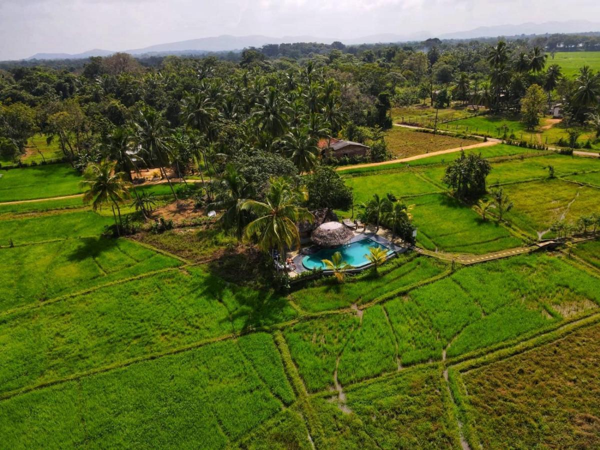 Nelu Villa Sigiriya Ngoại thất bức ảnh