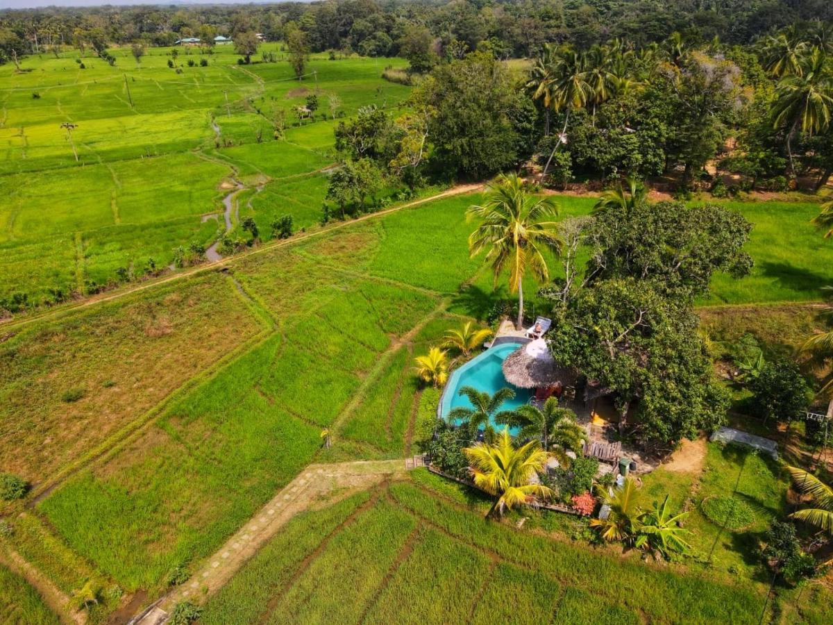 Nelu Villa Sigiriya Ngoại thất bức ảnh