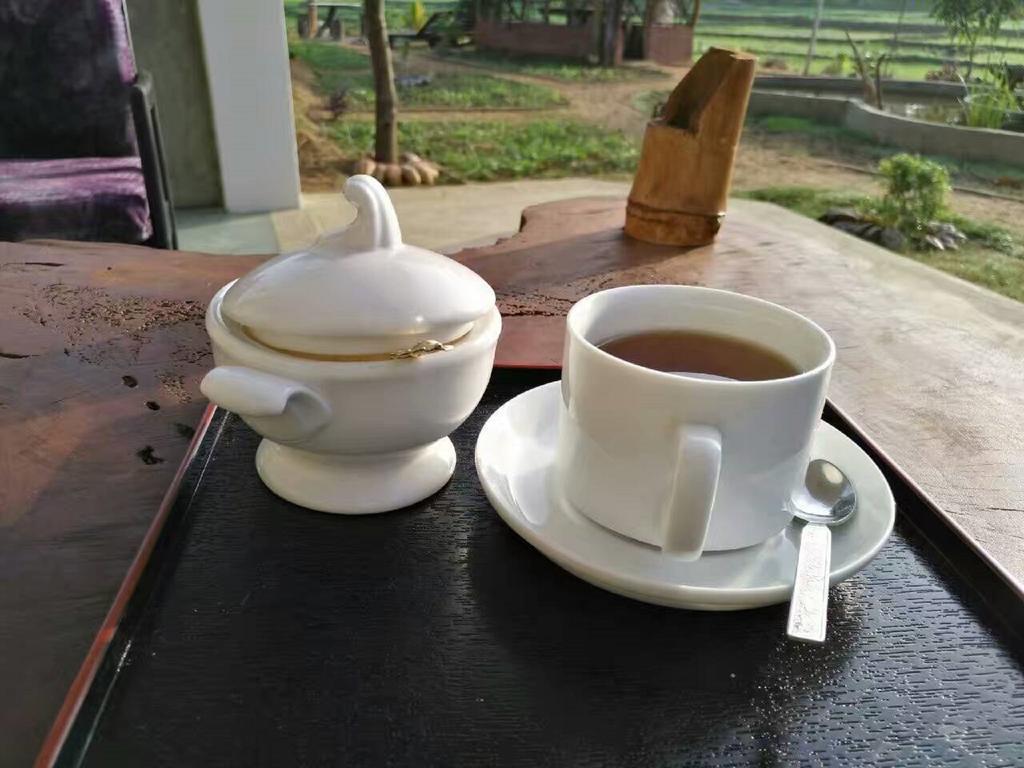 Nelu Villa Sigiriya Ngoại thất bức ảnh