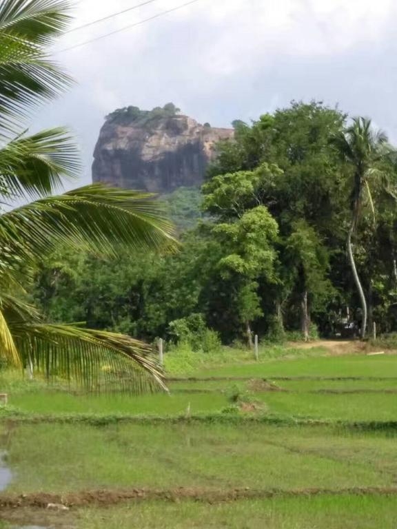 Nelu Villa Sigiriya Ngoại thất bức ảnh