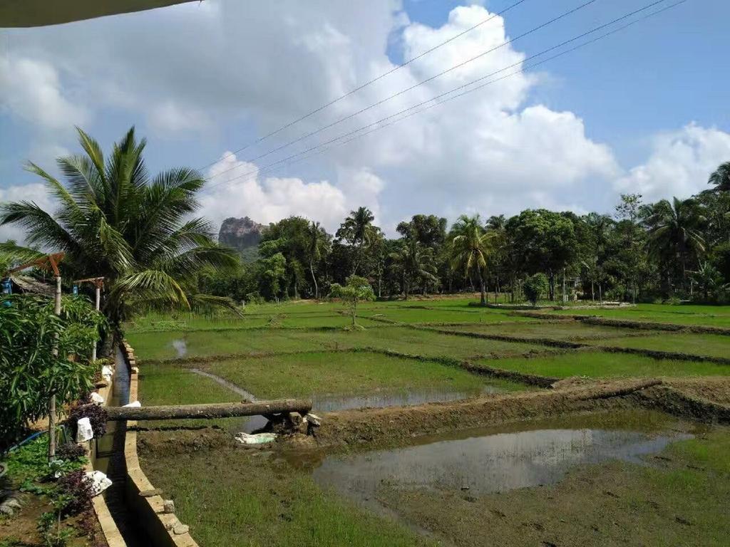 Nelu Villa Sigiriya Ngoại thất bức ảnh