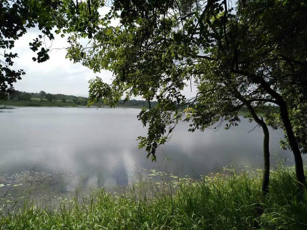 Nelu Villa Sigiriya Ngoại thất bức ảnh