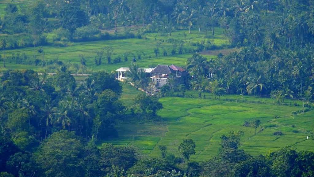 Nelu Villa Sigiriya Ngoại thất bức ảnh