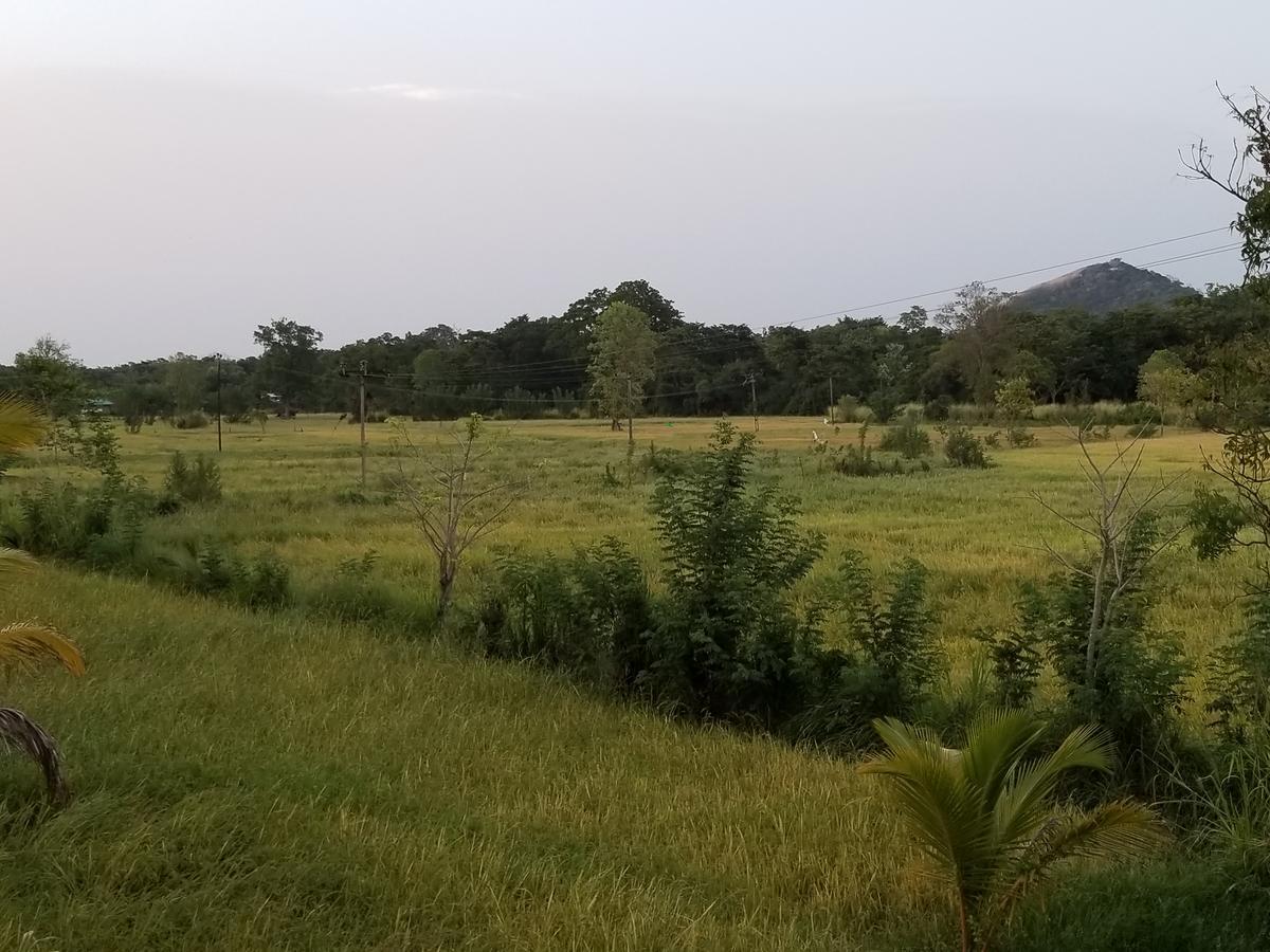Nelu Villa Sigiriya Ngoại thất bức ảnh